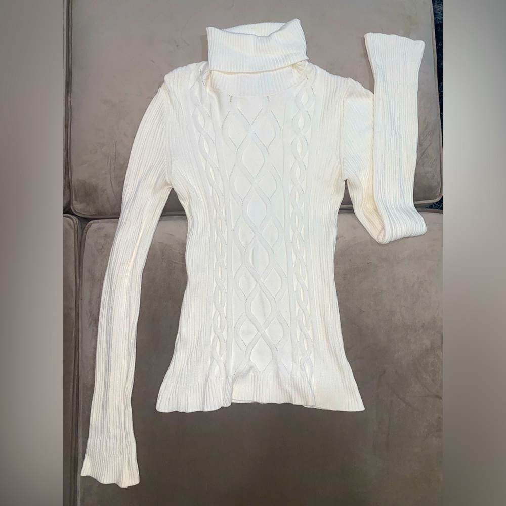 Express Turtleneck